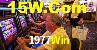 Premium Interface 1977Win